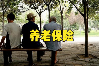 城乡居民养老保险交多少钱划算 养老保险哪个档次最合适