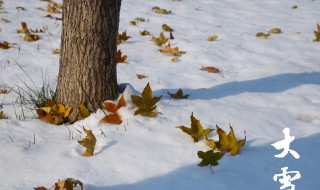 冬季储存阿胶的方法 冬季储存阿胶的技巧