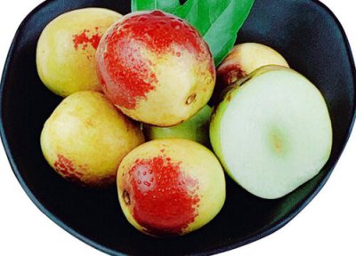 狗狗可以吃冬枣吗 狗狗吃冬枣的好处