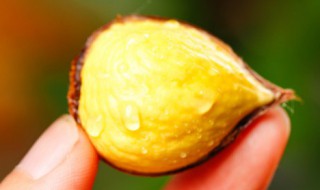 吃了羊肉不能吃什么 吃了羊肉不能吃哪些食物