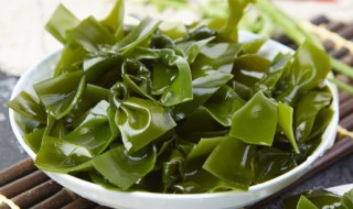 如何保存湿海带 湿的新鲜海带怎么保存运输