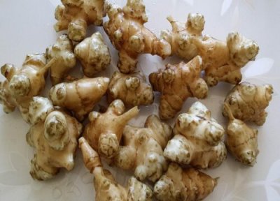 鬼子姜是寒性还是热性 鬼子姜属凉性还是热性食物