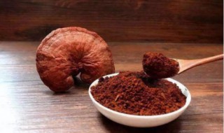 灵芝孢子粉功效有哪些 灵芝孢子粉的功效