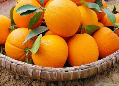 一天吃多少 橙子一天吃几个最好