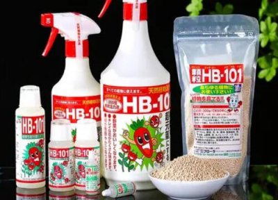 hb101颗粒缓释肥对兰花效果 hb101活力素如何喷洒兰花旺盛
