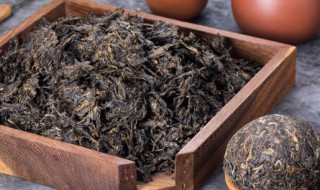 怎么保存新鲜水仙茶叶盒 水仙茶怎么保存