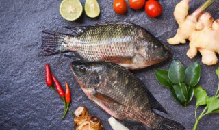 好吃又健康的菜做法窍门 好吃又健康的菜做法步骤