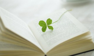 感恩节祝福语简短情话 感恩节简短祝福语介绍