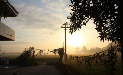 夏季应季水果有哪些品种 夏天多吃6种应季水果清凉爽口