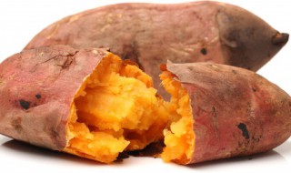 吃地瓜可以喝酸奶吗 吃地瓜能不能喝酸奶呢