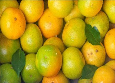 桔子是热性还是凉性 桔子属于热性还是凉性