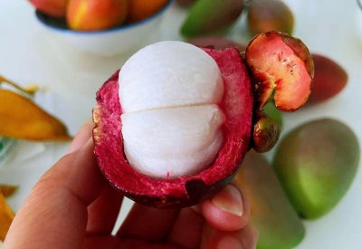 山竹2a3a4a5a区别 山竹是如何划分等级的