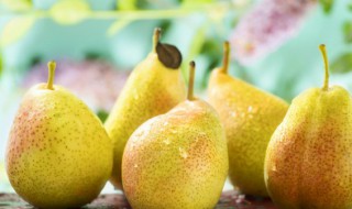 怎样挑选梨 如何挑选梨