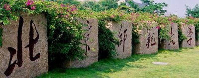 高一选什么科可以上师范类 想当教师选什么科组合最好