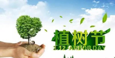 榆树风水禁忌及讲究说法 东不栽榆西不栽桃是什么意思