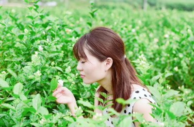 横县属于广西哪个市 横县的人均收入及经济发展情况