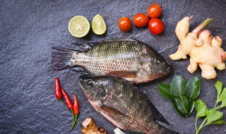 做烤鱼用什么鱼最好吃 做烤鱼用哪种鱼最好吃