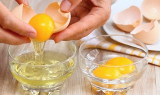 为什么吃鸡蛋白能减肥 减肥吃鸡蛋白的好处和坏处