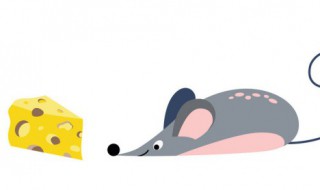 属鼠的应该佩戴什么好 属鼠的应该佩戴啥好