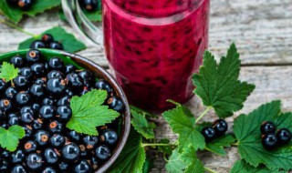 新鲜蓝莓怎么长期保存方法 蓝莓保存方法分享