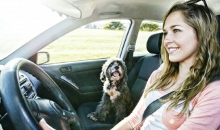 汽车驾驶员注意事项大全 汽车驾驶员需要注意事项大全