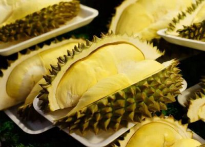 榴莲为什么那么贵 冬天猫山王榴莲多少钱一斤