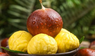 板栗树幼苗如何施肥 板栗幼树施肥时间和方法