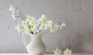 客厅摆放大花瓶好不好 客厅摆放大花瓶好吗