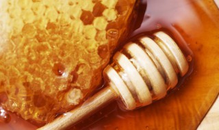 怎么鉴别真蜂蜜 真蜂蜜如何鉴别