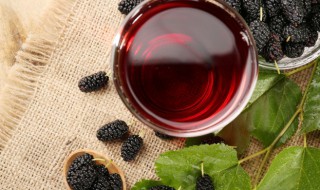 桑葚茶和桑叶茶有什么区别 桑葚茶和桑叶茶有哪些不同