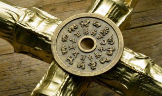 属猪的佩戴什么生肖好 生肖猪的佩戴什么属相好