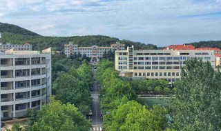 山东大学在哪个城市 山东师范大学在哪个城市