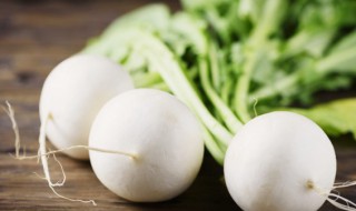 蔬菜大棚适合种哪些 适合大棚种植的蔬菜品种有哪些