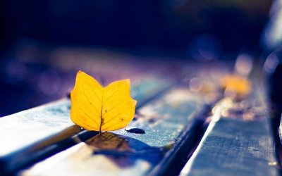 不会做人的人十种表现 做人做事不懂人情世故的特征