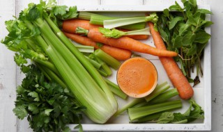 小朋友吃蔬菜的好处 小朋友多吃蔬菜有什么好处