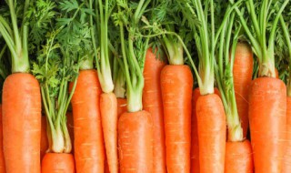 红萝卜怎么做饺子馅 红萝卜如何做饺子馅