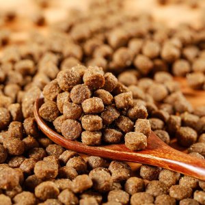 质量口碑较好的狗粮品牌 10款品质较好的狗粮推荐