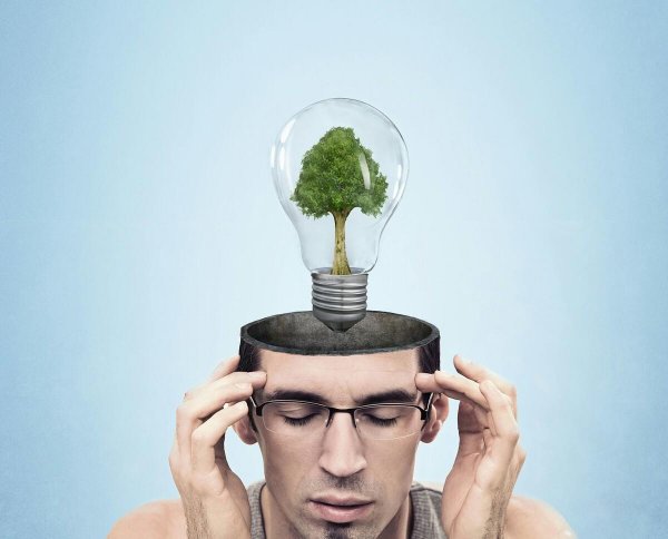 零基础学编程应该从哪入手