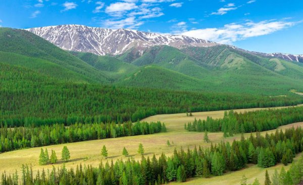 阿尔金山在哪里属于哪个省