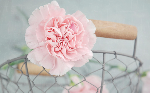 男人想和你在一起又不表明态度