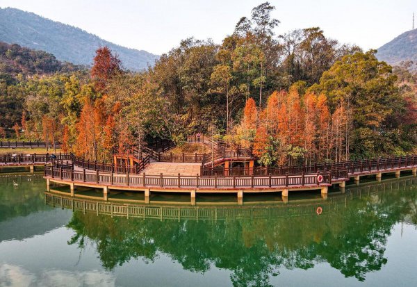 新会区属于哪个市