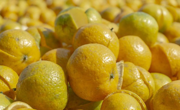 新会区属于哪个市