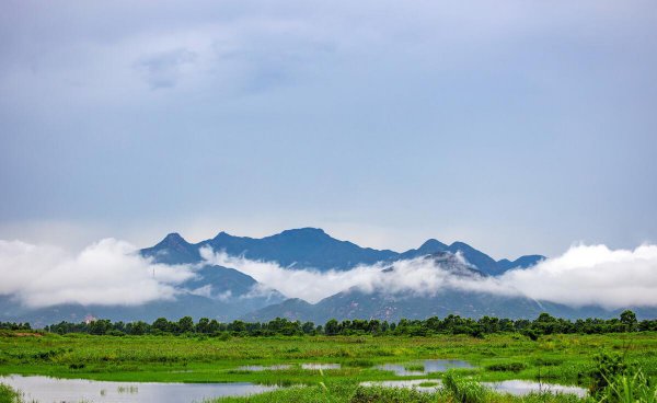 新会区属于哪个市