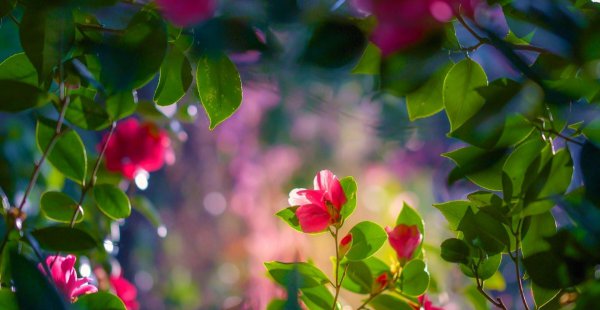 水瓶座命中注定的夫妻