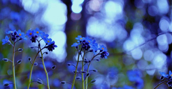 水瓶座命中注定的夫妻