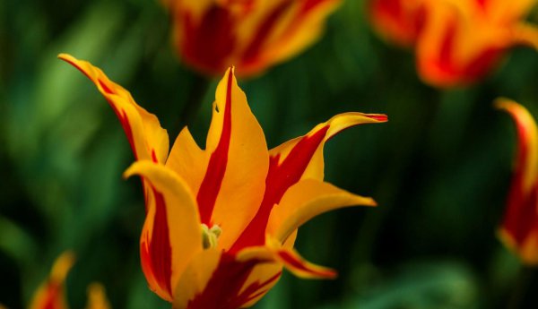 水瓶座命中注定的夫妻