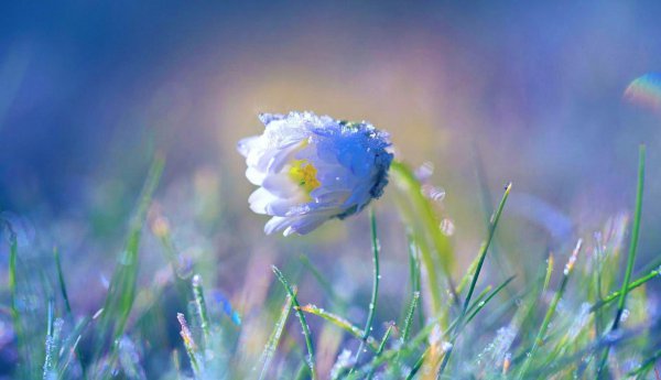 水瓶座命中注定的夫妻