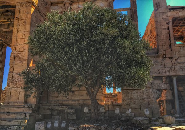 雅典是哪个国家