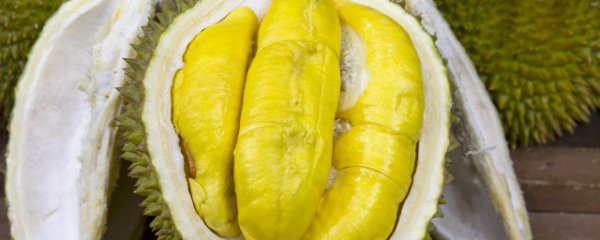 鸡蛋和榴莲可以一起吃吗