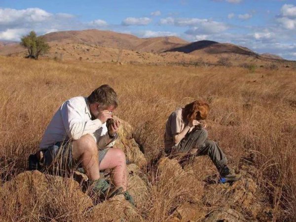 俄罗斯谢尔巴科娃简介